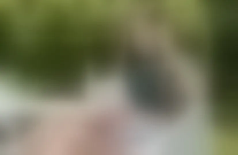 Live sex webcam photo for CarolinTaylor #8641847