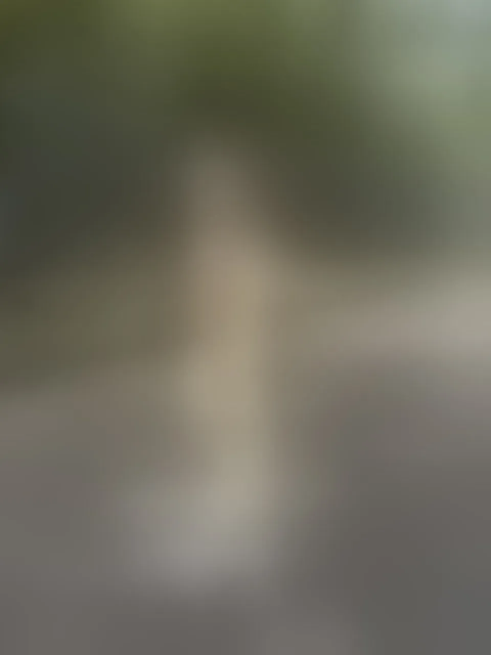 Live sex webcam photo for AbbyBlake19 #8668125