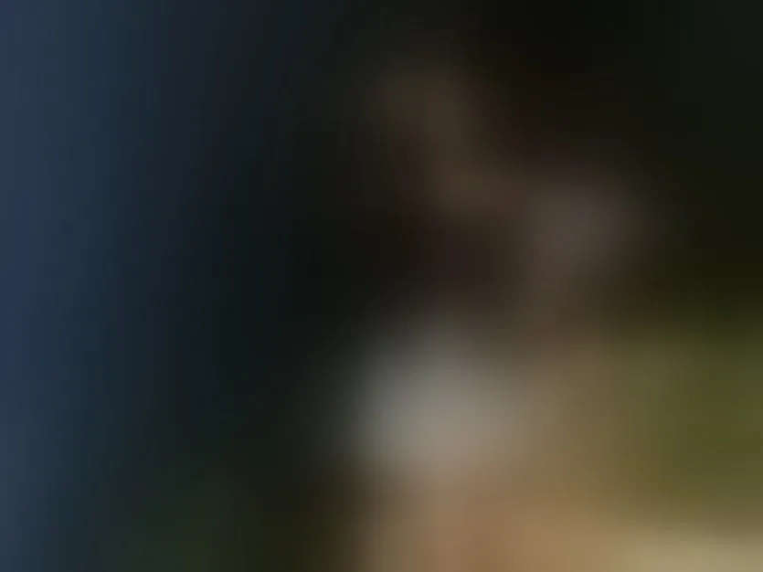 Live sex webcam photo for raavenluxX #8678353