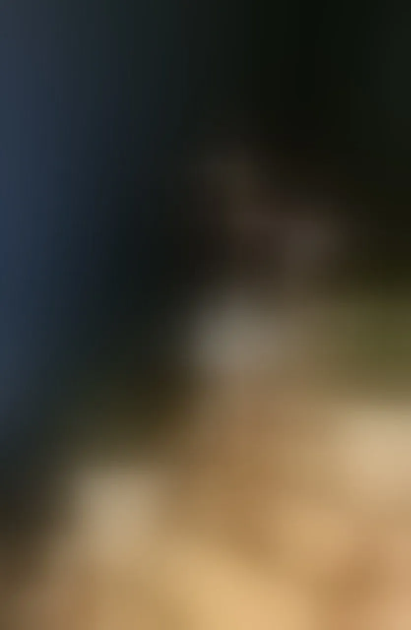 Live sex webcam photo for raavenluxX #8678352