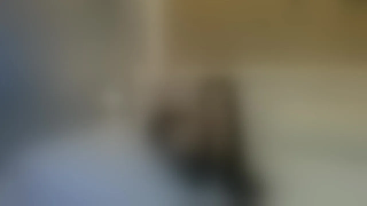 Live sex webcam photo for raavenluxX #8705788