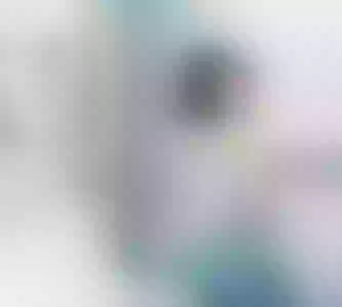 Live sex webcam photo for SweetheartMia #7143324
