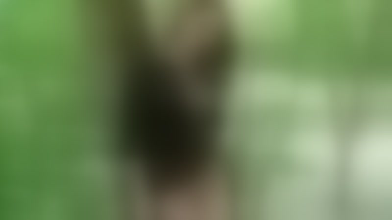 Live sex webcam photo for HotSexAlice #1878215