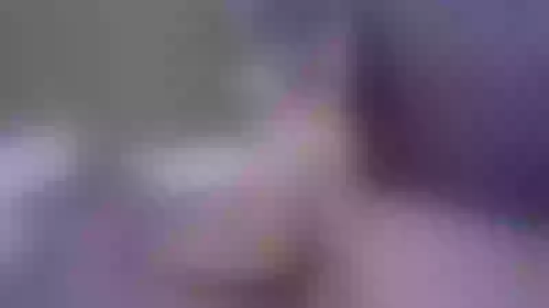 Live sex webcam photo for HotSexAlice #1877942