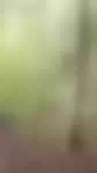 Live sex webcam photo for HotSexAlice #1878454