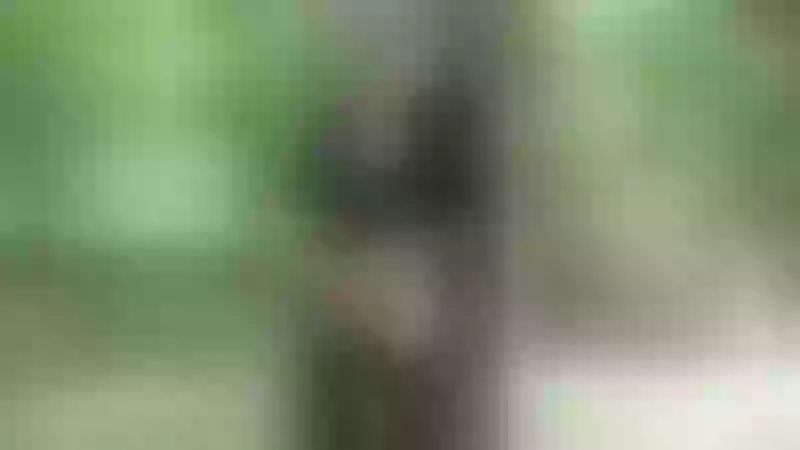 Live sex webcam photo for HotSexAlice #1878217