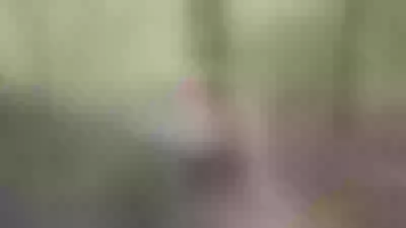 Live sex webcam photo for HotSexAlice #1878433