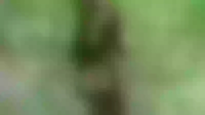 Live sex webcam photo for HotSexAlice #1878213
