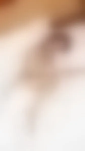 Live sex webcam photo for HotSexAlice #1878277