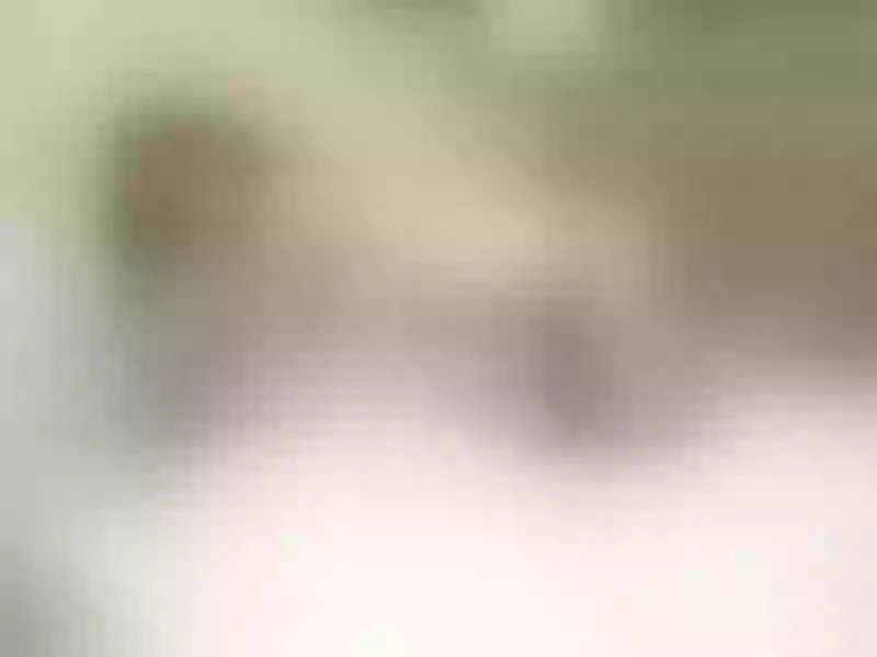 Live sex webcam photo for HotSexAlice #1878490