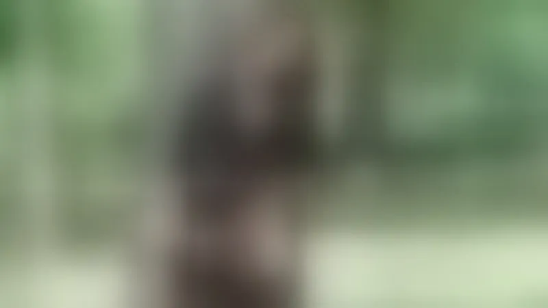 Live sex webcam photo for HotSexAlice #1878218
