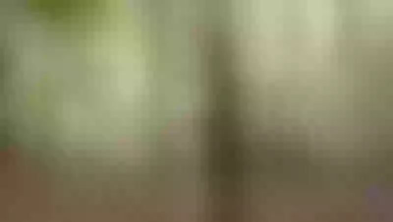 Live sex webcam photo for HotSexAlice #1878435