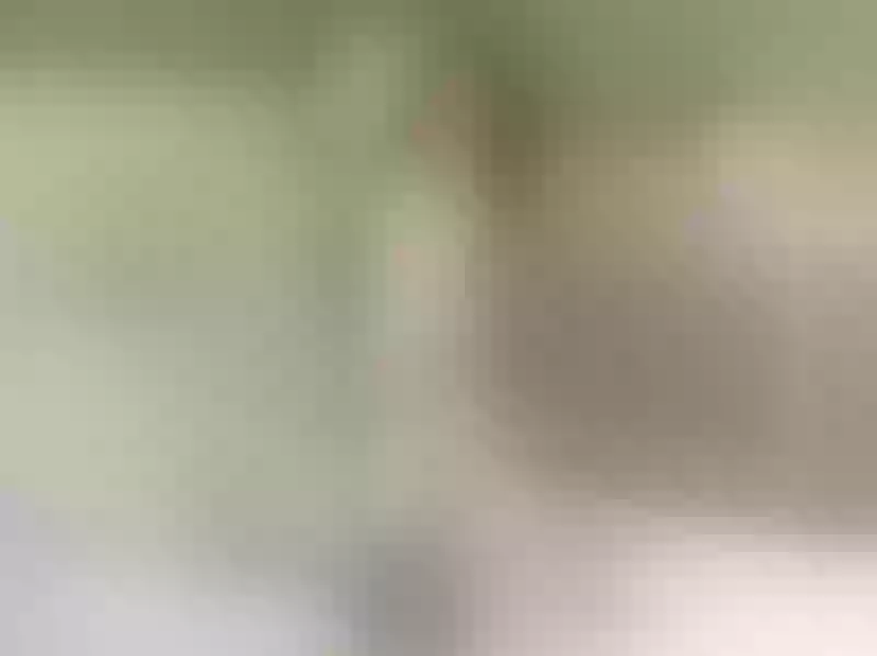 Live sex webcam photo for HotSexAlice #1878491