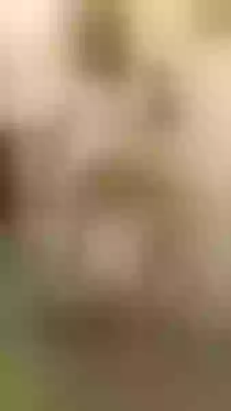 Live sex webcam photo for MelissaJohnson #7919904