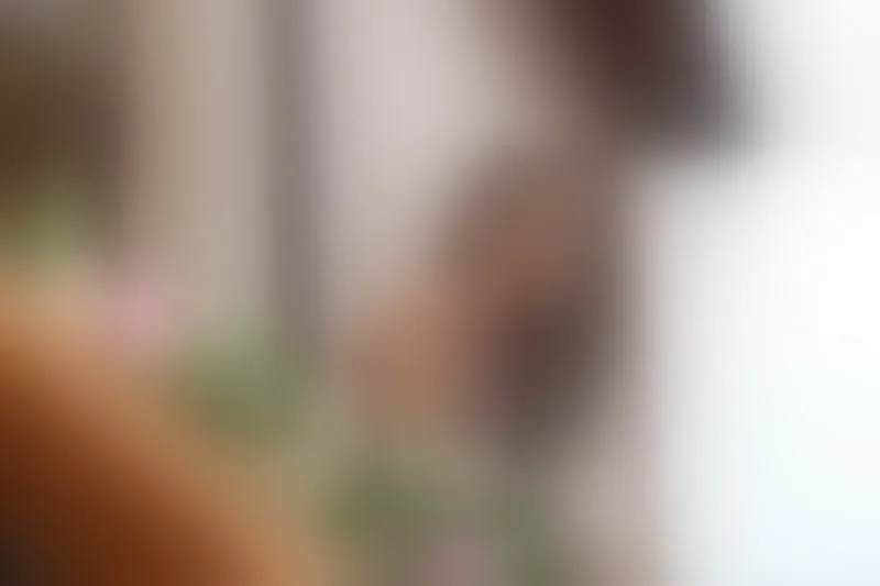 Live sex webcam photo for MelissaJohnson #7919858