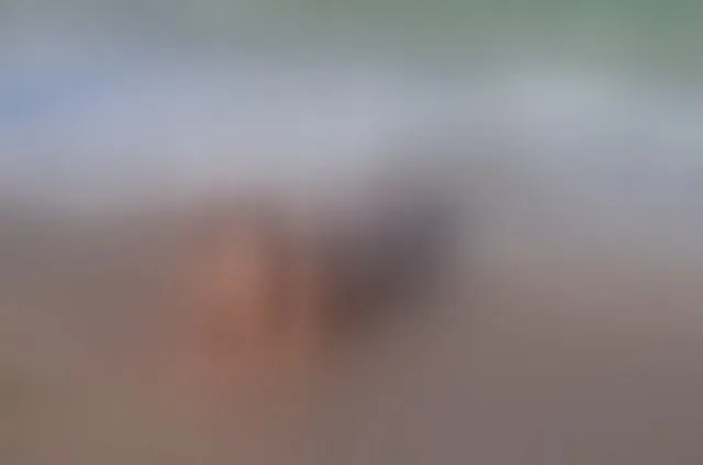Live sex webcam photo for MelissaJohnson #7919810