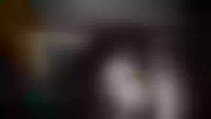 Live sex webcam photo for Noya #7899121