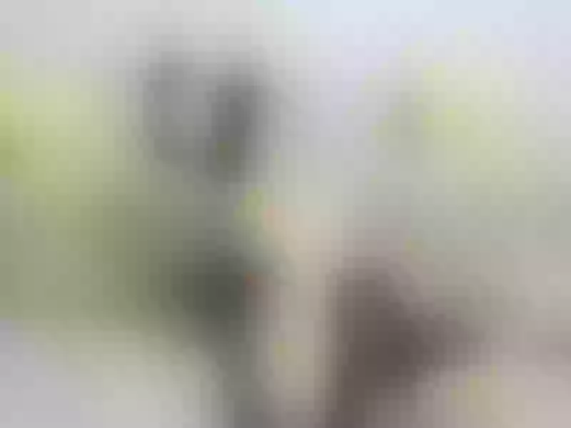 Live sex webcam photo for AbadGirlOn #6068927