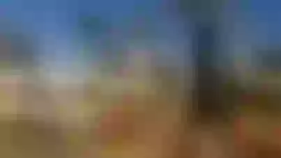 Live sex webcam photo for MrsMariah #7797068