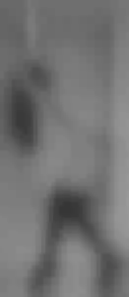 Live sex webcam photo for laratinelli #7440060