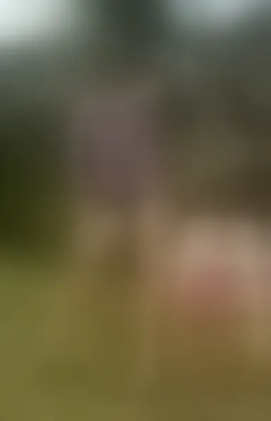 Live sex webcam photo for laratinelli #7440054