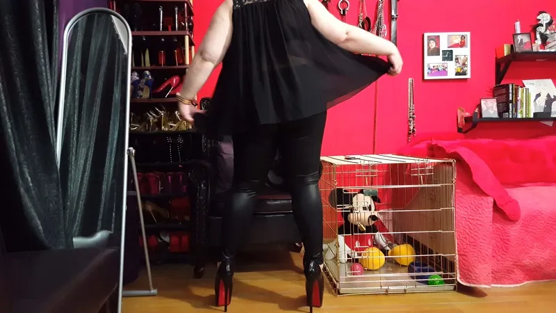 Live sex webcam photo for KaryHeaven #1838958