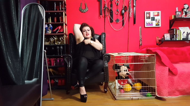 Live sex webcam photo for KaryHeaven #1838965