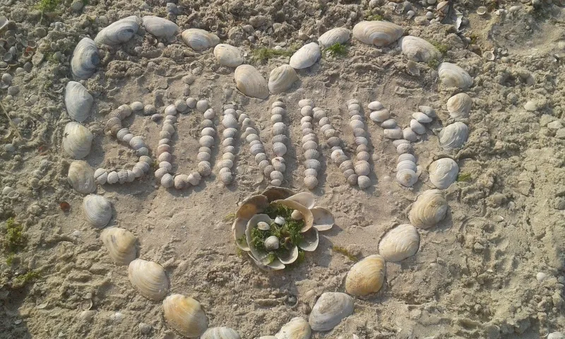 Live sex webcam photo for darling_Dasha #1705864