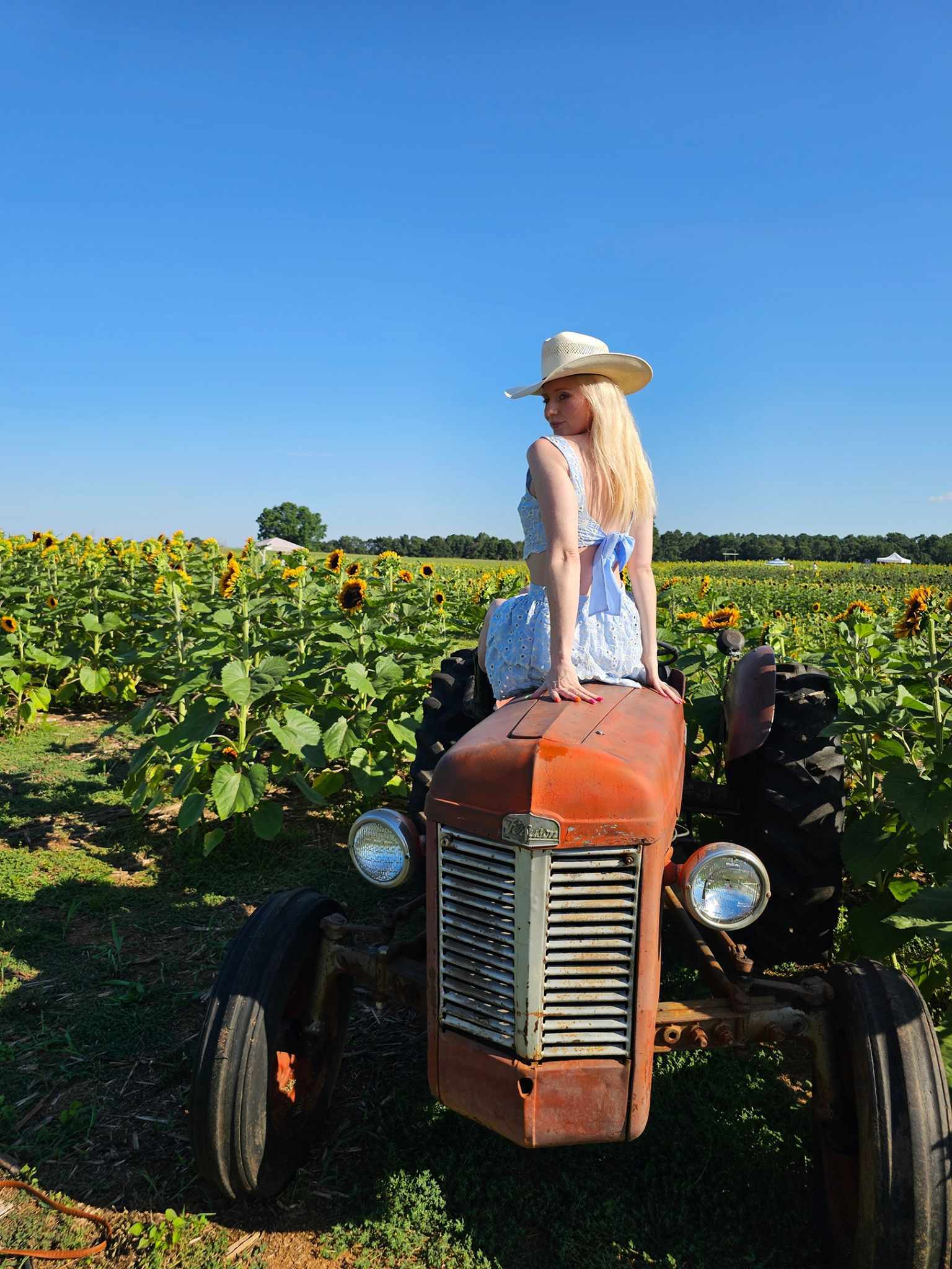 Live sex webcam photo for TheAlexaLondon #7248376