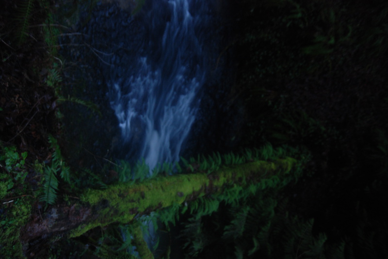 Live sex webcam photo for LovageX #1895513