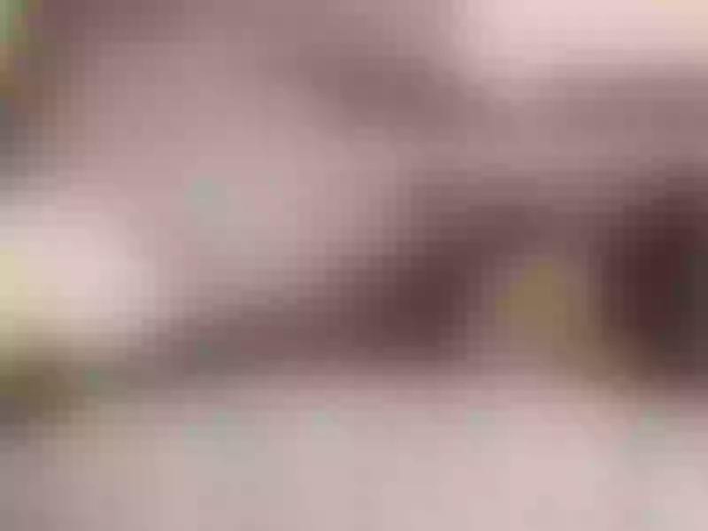 Live sex webcam photo for katiefrenchie #1741208