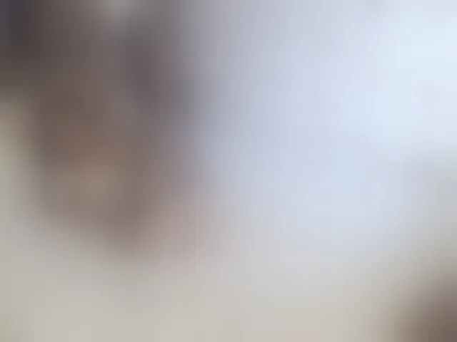 Live sex webcam photo for katiefrenchie #1741030