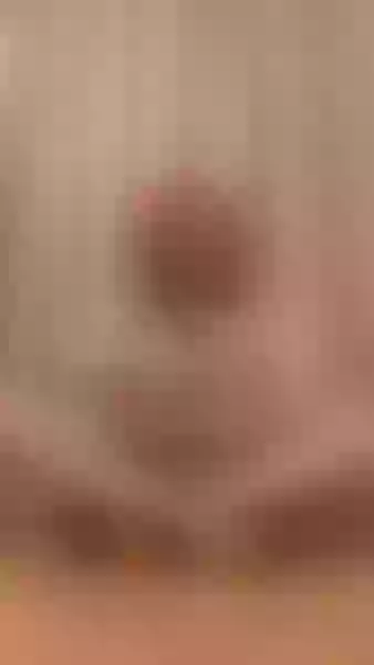 Live sex webcam photo for shamirawild #6078722
