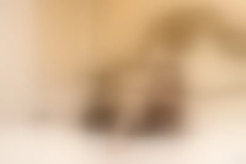 Live sex webcam photo for AylyneMiller #7314580