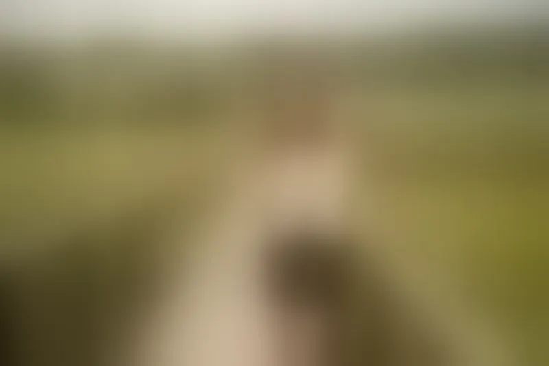 Live sex webcam photo for AylyneMiller #7314596