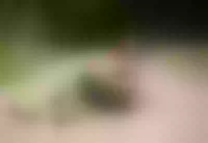 Live sex webcam photo for AylyneMiller #7314632