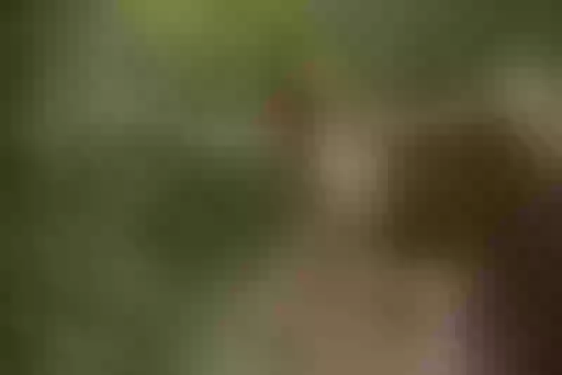 Live sex webcam photo for AylyneMiller #7314639