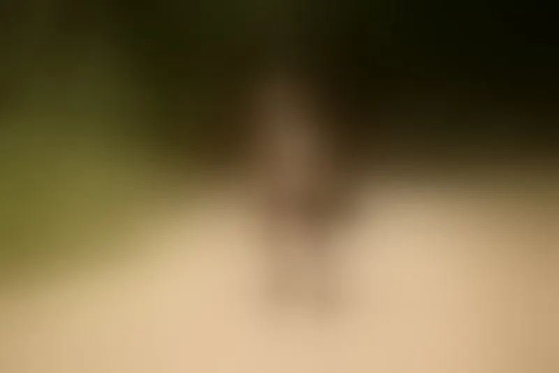Live sex webcam photo for AylyneMiller #7314604