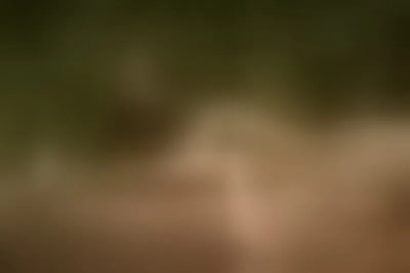 Live sex webcam photo for AylyneMiller #7314589