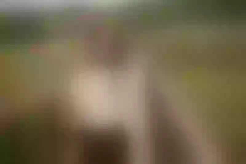 Live sex webcam photo for AylyneMiller #7314607