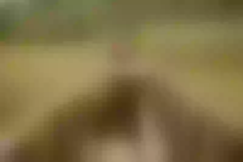 Live sex webcam photo for AylyneMiller #7314635