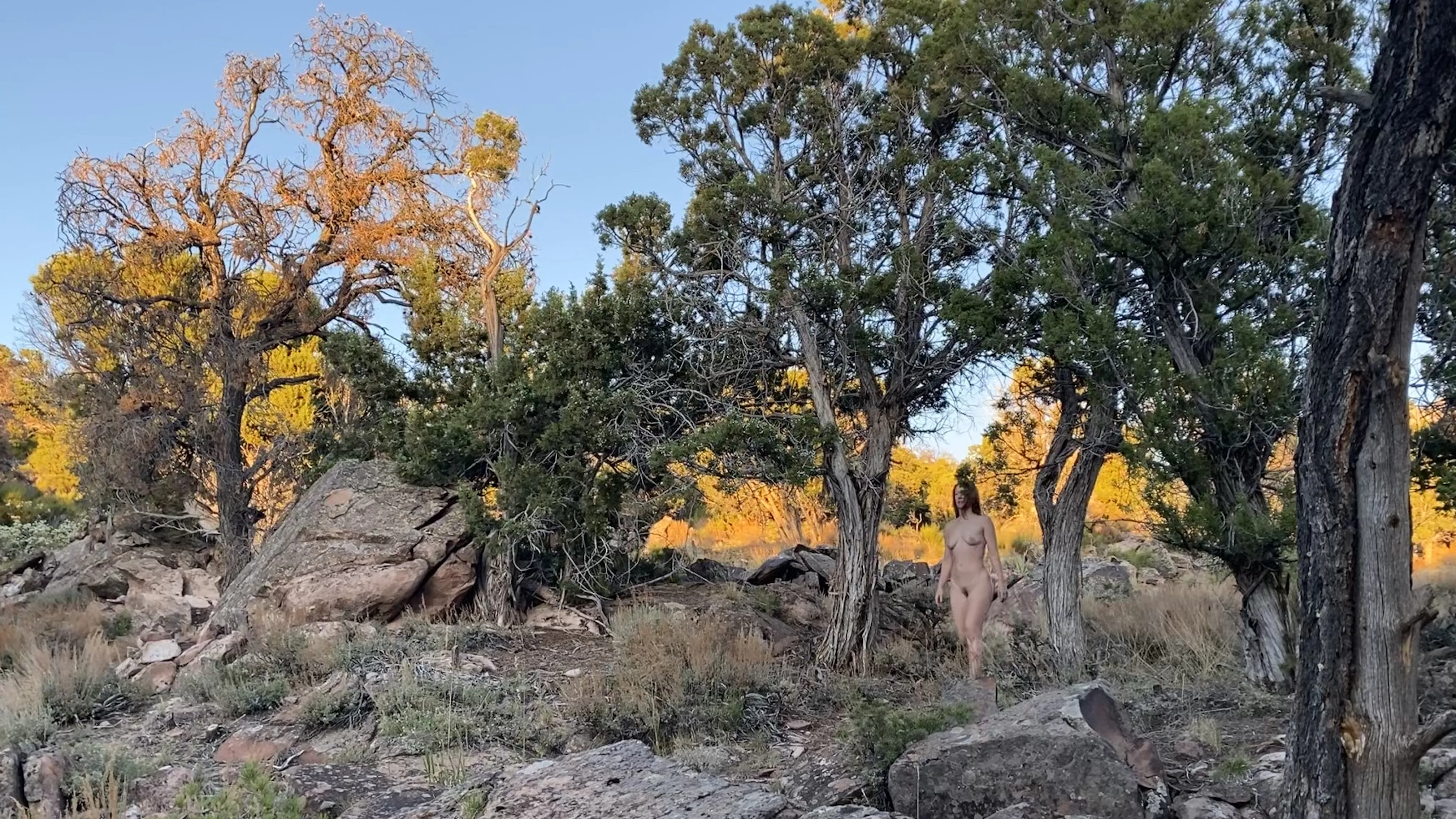 Live sex webcam photo for SkySmith #7775030