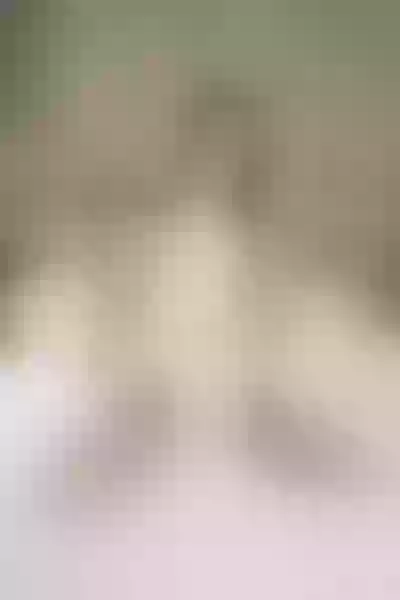 Live sex webcam photo for RagazzaBelle #2125179