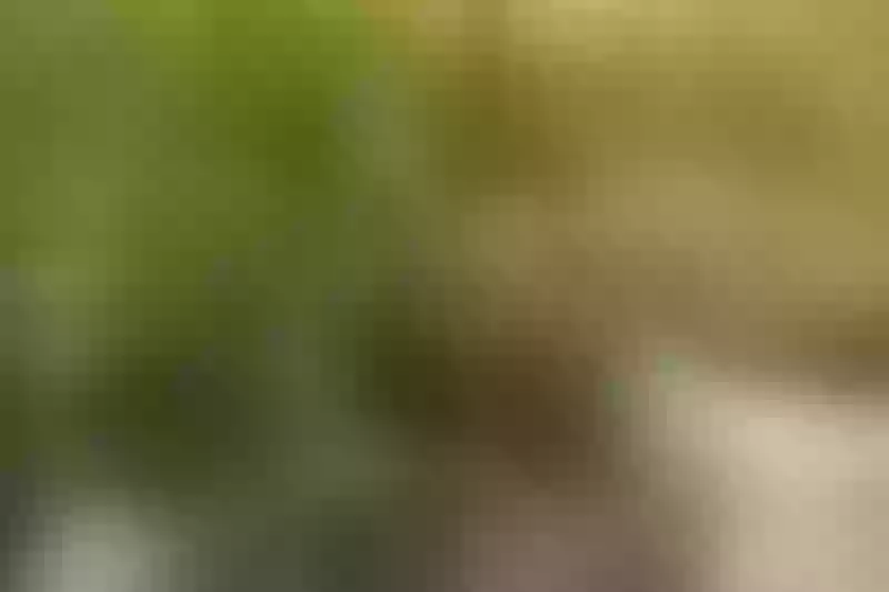 Live sex webcam photo for RagazzaBelle #5306559