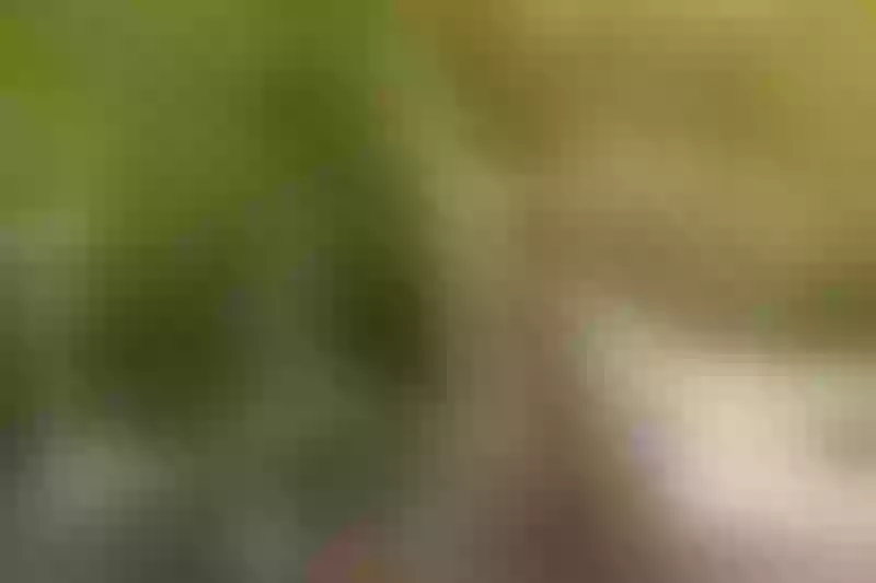 Live sex webcam photo for RagazzaBelle #5306558