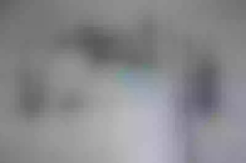 Live sex webcam photo for yourbustysmoker #7103451