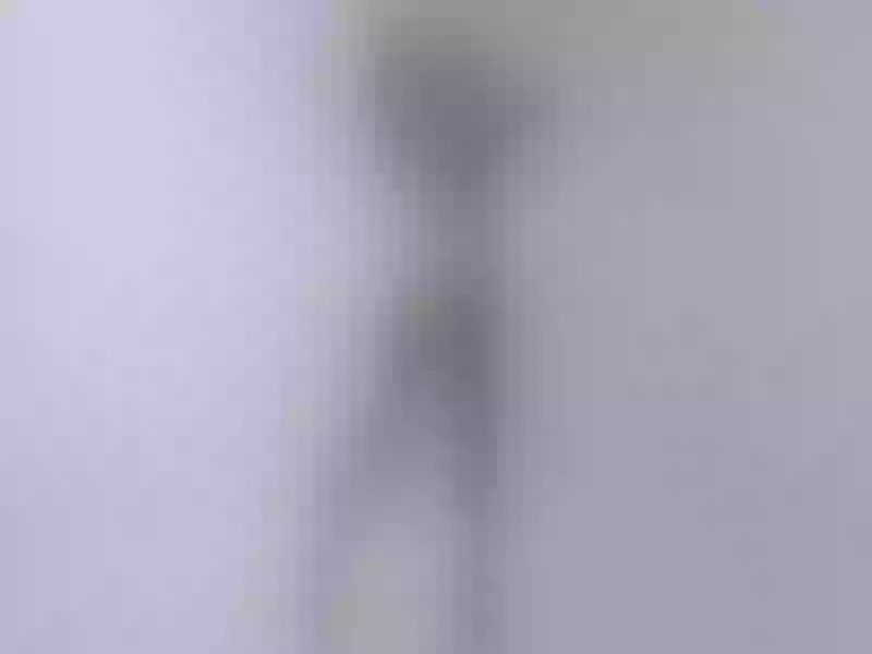 Live sex webcam photo for SweetRosemary #6244786