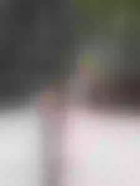 Live sex webcam photo for SweetRosemary #6244727
