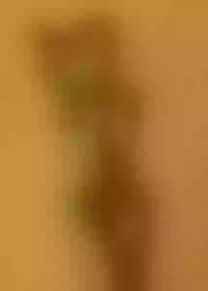 Live sex webcam photo for SweetRosemary #6244778