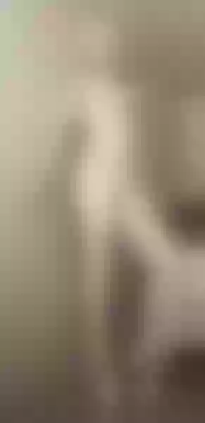 Live sex webcam photo for SuzzySun #7859310